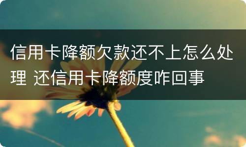 信用卡降额欠款还不上怎么处理 还信用卡降额度咋回事