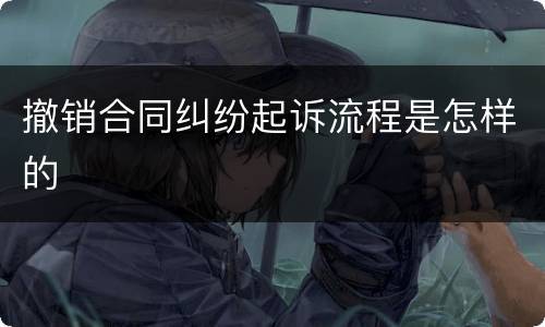 撤销合同纠纷起诉流程是怎样的