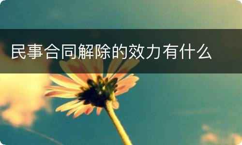 民事合同解除的效力有什么