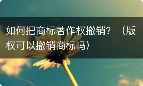 如何把商标著作权撤销？（版权可以撤销商标吗）