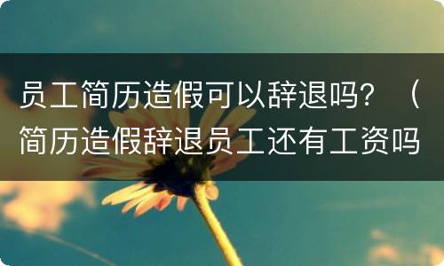 员工简历造假可以辞退吗？（简历造假辞退员工还有工资吗）
