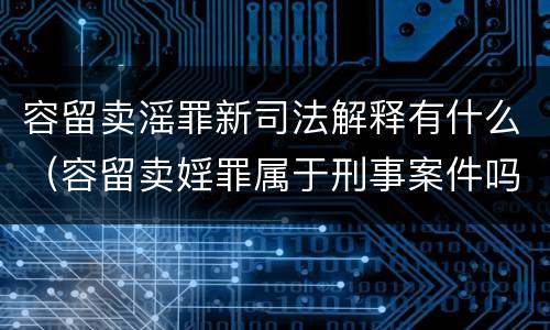 容留卖滛罪新司法解释有什么（容留卖婬罪属于刑事案件吗）