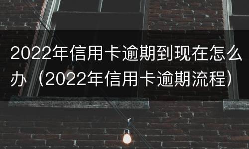 2022年信用卡逾期到现在怎么办（2022年信用卡逾期流程）