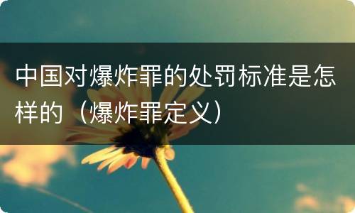 中国对爆炸罪的处罚标准是怎样的（爆炸罪定义）