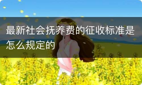 最新社会抚养费的征收标准是怎么规定的