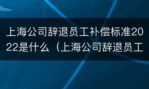 上海公司辞退员工补偿标准2022是什么（上海公司辞退员工补偿标准2021怎么算）