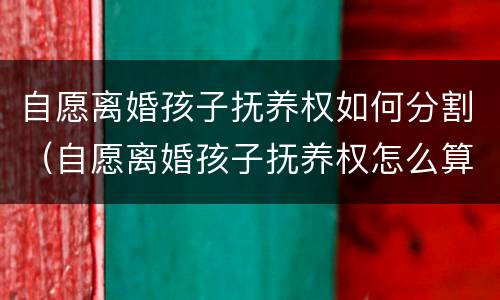 自愿离婚孩子抚养权如何分割（自愿离婚孩子抚养权怎么算）