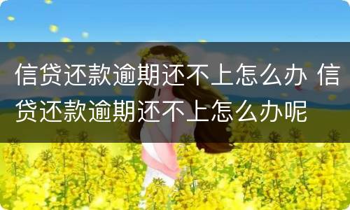 信贷还款逾期还不上怎么办 信贷还款逾期还不上怎么办呢
