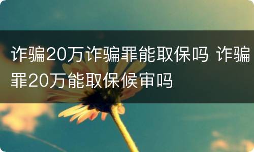 诈骗20万诈骗罪能取保吗 诈骗罪20万能取保候审吗