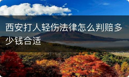 西安打人轻伤法律怎么判赔多少钱合适