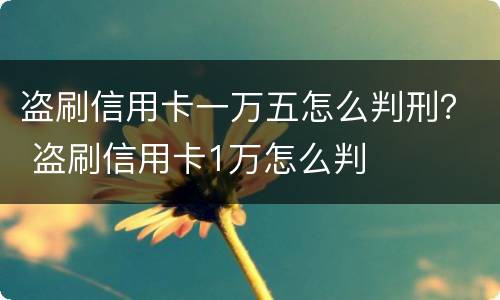 盗刷信用卡一万五怎么判刑？ 盗刷信用卡1万怎么判