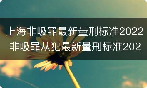上海非吸罪最新量刑标准2022 非吸罪从犯最新量刑标准2021