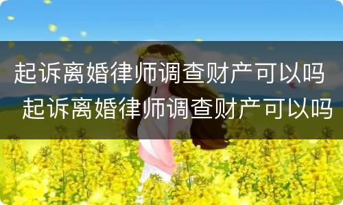 起诉离婚律师调查财产可以吗 起诉离婚律师调查财产可以吗知乎