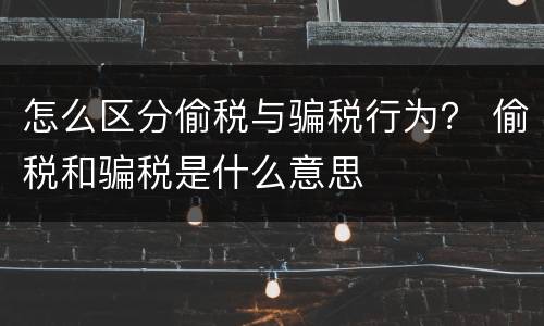 怎么区分偷税与骗税行为？ 偷税和骗税是什么意思