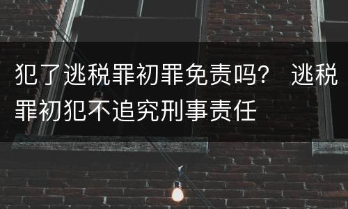 犯了逃税罪初罪免责吗？ 逃税罪初犯不追究刑事责任