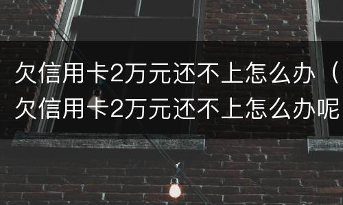 欠信用卡2万元还不上怎么办（欠信用卡2万元还不上怎么办呢）