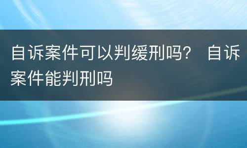自诉案件可以判缓刑吗？ 自诉案件能判刑吗