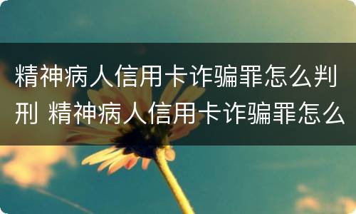 精神病人信用卡诈骗罪怎么判刑 精神病人信用卡诈骗罪怎么判刑案例
