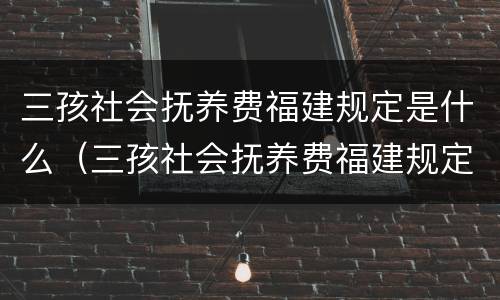 三孩社会抚养费福建规定是什么（三孩社会抚养费福建规定是什么时候发放）