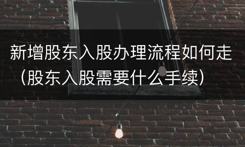 新增股东入股办理流程如何走（股东入股需要什么手续）