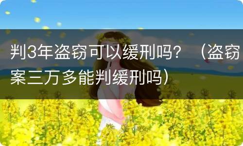 判3年盗窃可以缓刑吗？（盗窃案三万多能判缓刑吗）