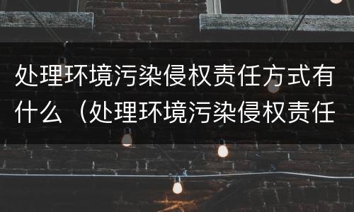 处理环境污染侵权责任方式有什么（处理环境污染侵权责任方式有什么作用）