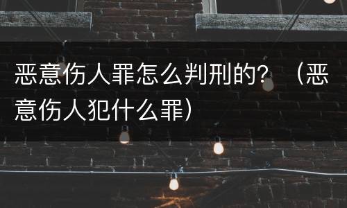 恶意伤人罪怎么判刑的？（恶意伤人犯什么罪）