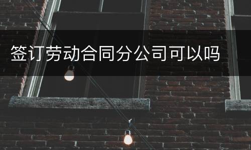 签订劳动合同分公司可以吗