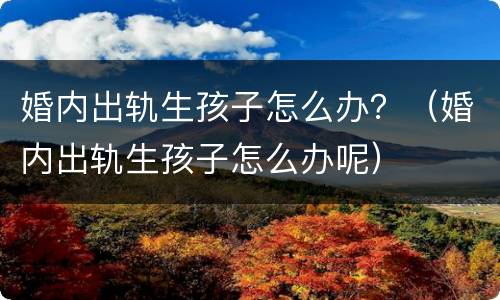 婚内出轨生孩子怎么办？（婚内出轨生孩子怎么办呢）