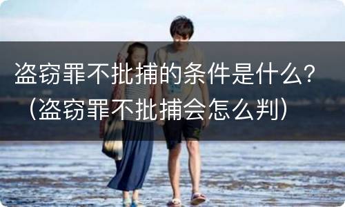 盗窃罪不批捕的条件是什么？（盗窃罪不批捕会怎么判）