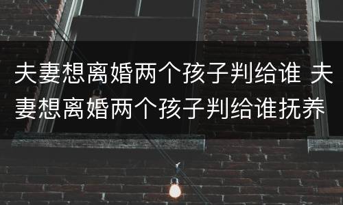 夫妻想离婚两个孩子判给谁 夫妻想离婚两个孩子判给谁抚养