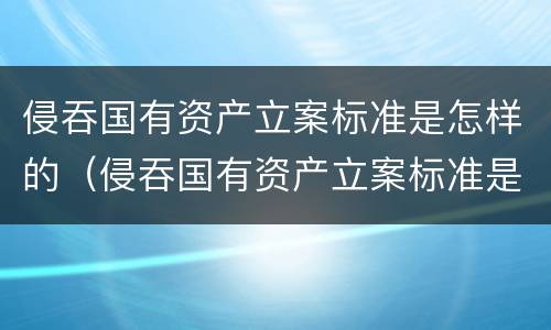 侵吞国有资产立案标准是怎样的（侵吞国有资产立案标准是怎样的呢）