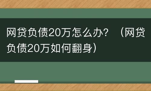 网贷负债20万怎么办？（网贷负债20万如何翻身）