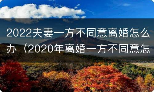 2022夫妻一方不同意离婚怎么办（2020年离婚一方不同意怎么办）