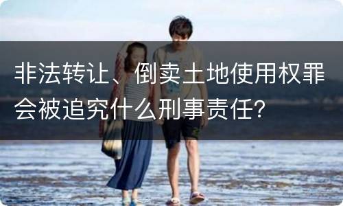 非法转让、倒卖土地使用权罪会被追究什么刑事责任？
