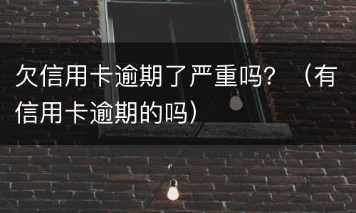 欠信用卡逾期了严重吗？（有信用卡逾期的吗）