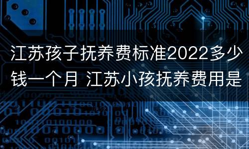 江苏孩子抚养费标准2022多少钱一个月 江苏小孩抚养费用是多少
