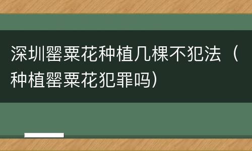 深圳罂粟花种植几棵不犯法（种植罂粟花犯罪吗）