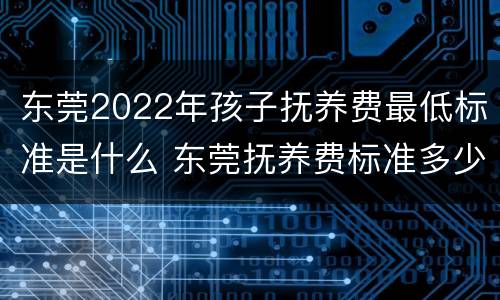 东莞2022年孩子抚养费最低标准是什么 东莞抚养费标准多少钱一个月