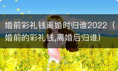 婚前彩礼钱离婚时归谁2022（婚前的彩礼钱,离婚后归谁）