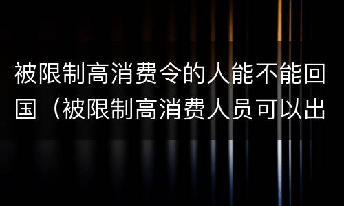 被限制高消费令的人能不能回国（被限制高消费人员可以出国吗）