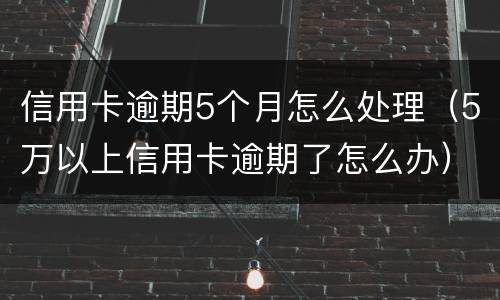 信用卡逾期5个月怎么处理（5万以上信用卡逾期了怎么办）