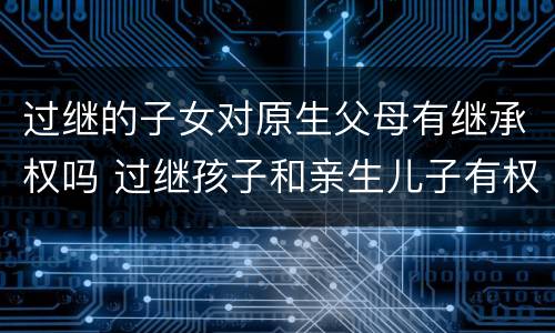 过继的子女对原生父母有继承权吗 过继孩子和亲生儿子有权继承