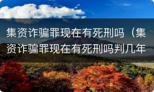 集资诈骗罪现在有死刑吗（集资诈骗罪现在有死刑吗判几年）
