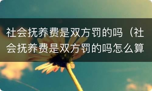 社会抚养费是双方罚的吗（社会抚养费是双方罚的吗怎么算）