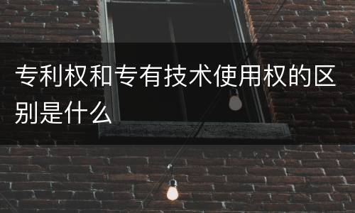 专利权和专有技术使用权的区别是什么