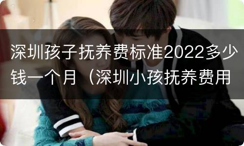 深圳孩子抚养费标准2022多少钱一个月（深圳小孩抚养费用标准）