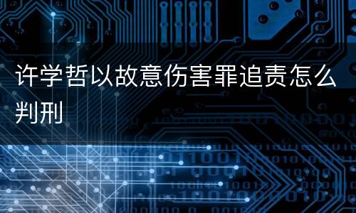 许学哲以故意伤害罪追责怎么判刑