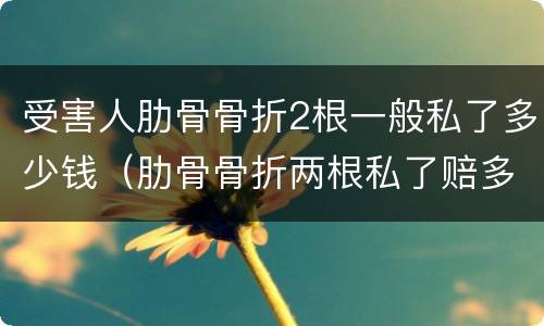 受害人肋骨骨折2根一般私了多少钱（肋骨骨折两根私了赔多少钱合适）