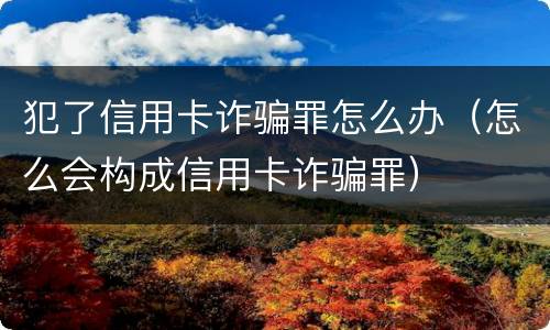犯了信用卡诈骗罪怎么办（怎么会构成信用卡诈骗罪）